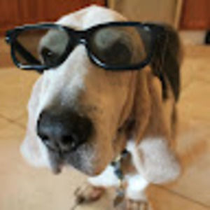 Meet your Posher, Terry